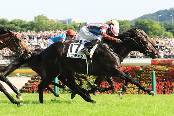 出走馬情報 2026年神戸新聞杯（GⅡ） JRA