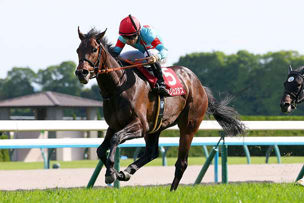 出走馬情報 2026年神戸新聞杯（GⅡ） JRA