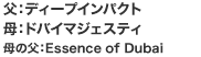 FfB[vCpNg@FhoC}WFXeB@̕FEssence of Dubai