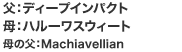 FfB[vCpNg@Fn[XEB[g@̕FMachiavellian