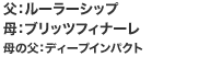 F[[Vbv@FubctBi[@̕FfB[vCpNg