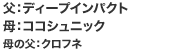 FfB[vCpNg@FRRVjbN@̕FNtl
