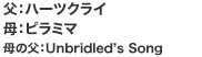 Fn[cNC@Fs~}@̕FUnbridled's Song