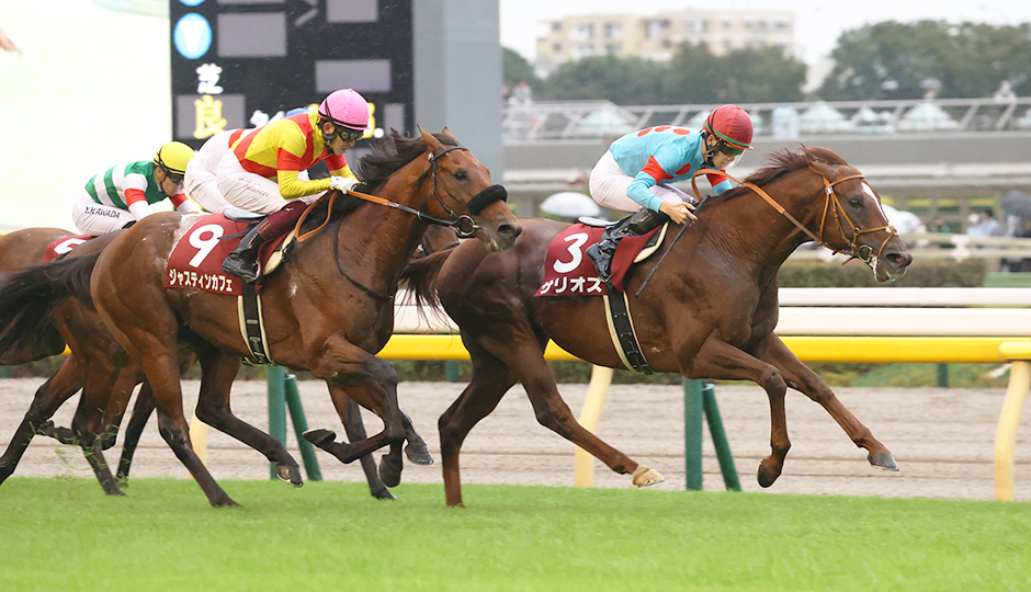 歴史・コース：毎日王冠 今週の注目レース JRA