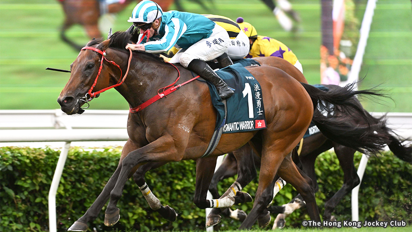 出走馬情報：安田記念 今週の注目レース JRA