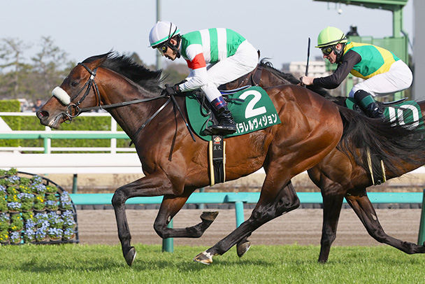 使用された競走馬のゼッケン 8枚 旨く｜その他