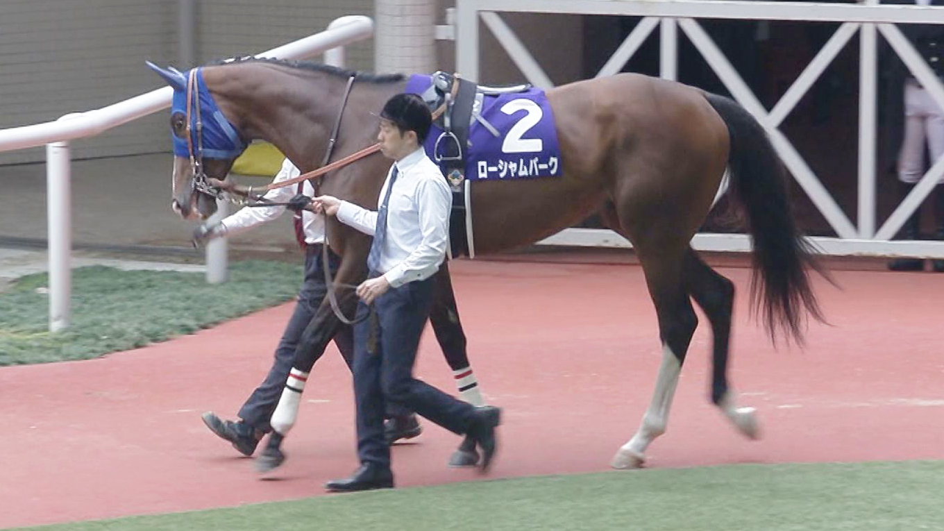 出走馬情報:宝塚記念 今週の注目レース JRA 出走馬情報:宝塚記念 今週の注目レース JRA