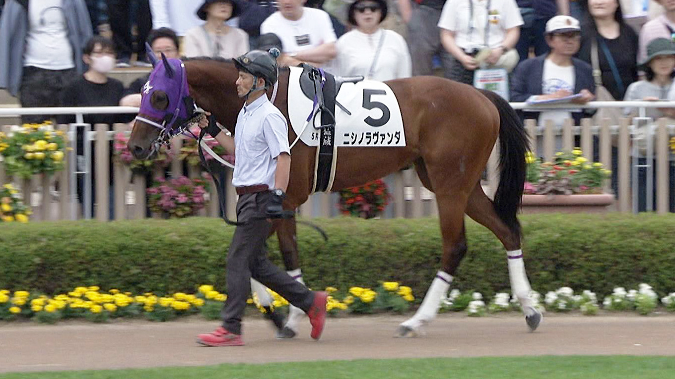 出走馬情報：函館2歳ステークス 今週の注目レース JRA