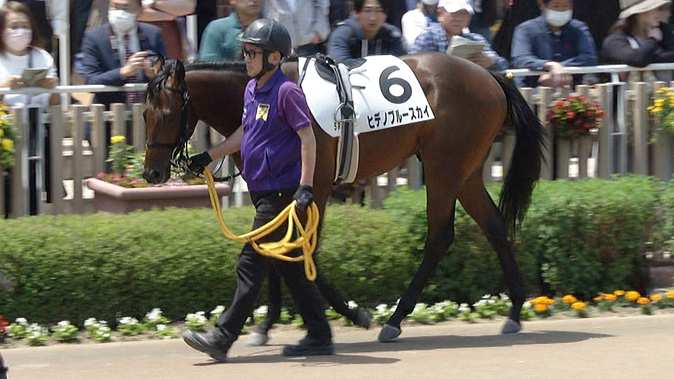 出走馬情報：函館2歳ステークス 今週の注目レース JRA