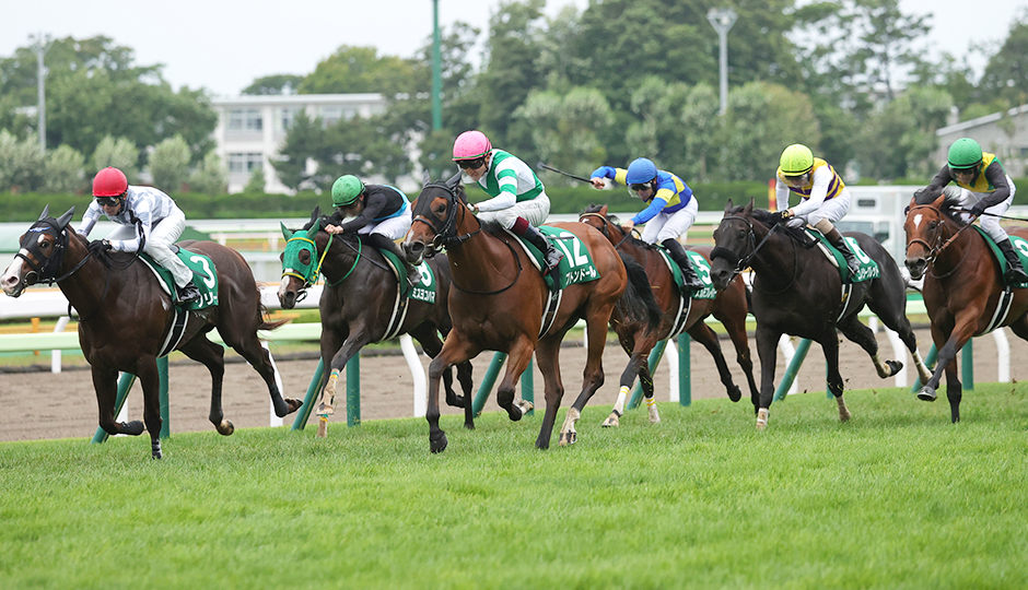 歴史・コース：函館2歳ステークス 今週の注目レース JRA