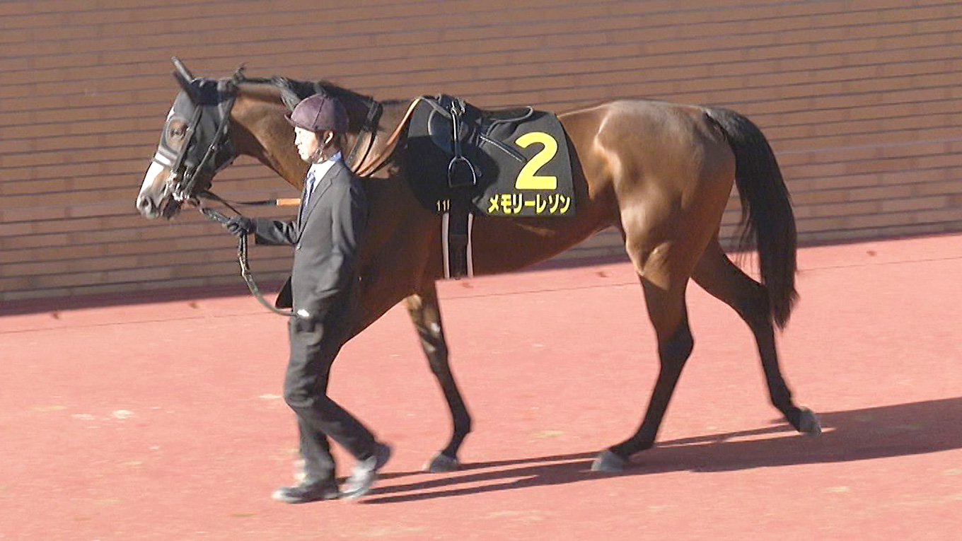 出走馬情報：小倉記念 今週の注目レース JRA