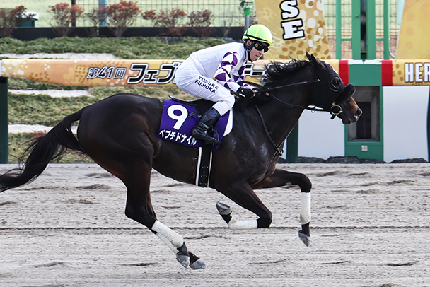 出走馬情報：チャンピオンズカップ 今週の注目レース JRA