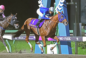 歴史・コース：チャンピオンズカップ 今週の注目レース JRA