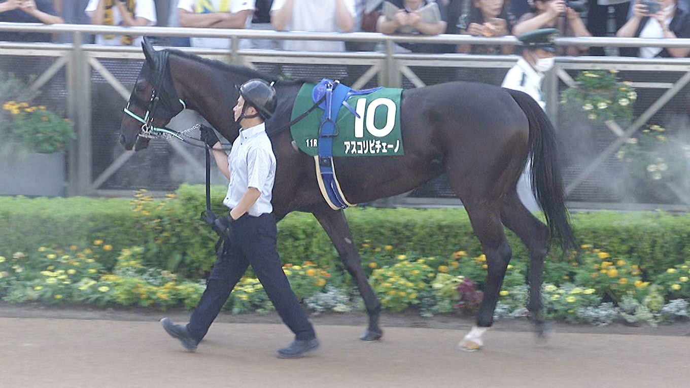 武豊日記】ボクにとっては救世主みたいな馬（競馬のおはなし