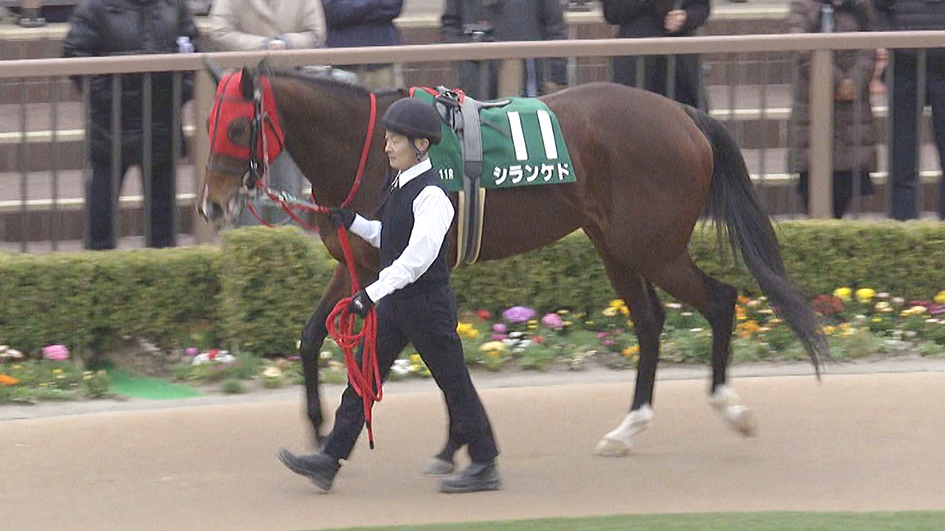武豊日記】ボクにとっては救世主みたいな馬（競馬のおはなし