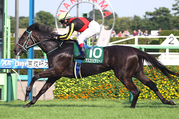 出走馬情報：ヴィクトリアマイル 今週の注目レース JRA