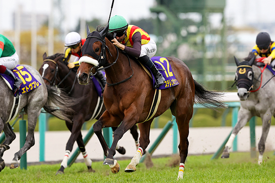 出走馬情報：ヴィクトリアマイル 今週の注目レース JRA