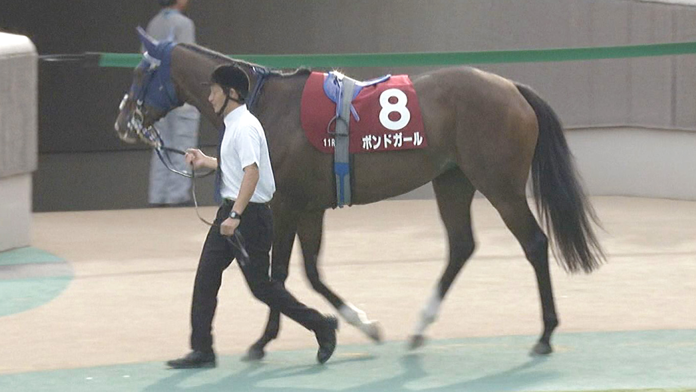 出走馬情報：エリザベス女王杯 今週の注目レース JRA