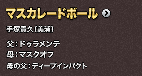 �}�X�J���[�h�{�[��