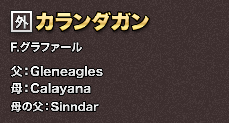 �J�����_�K��