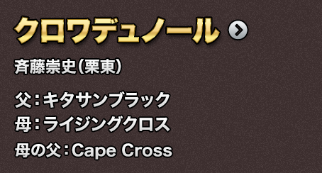 �N�����f���m�[��