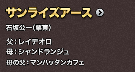 �T�����C�Y�A�[�X