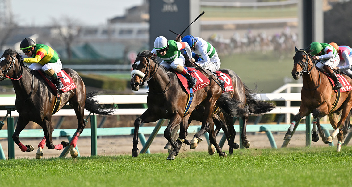 今週の注目レース JRA