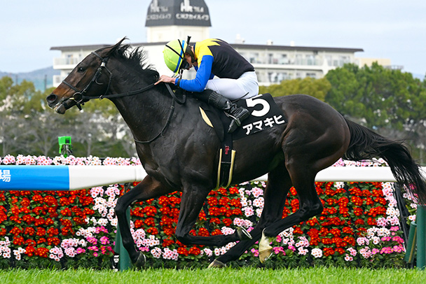 出走馬情報：目黒記念 今週の注目レース JRA