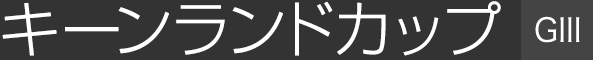 �L�[�������h�J�b�v�iGⅢ�j