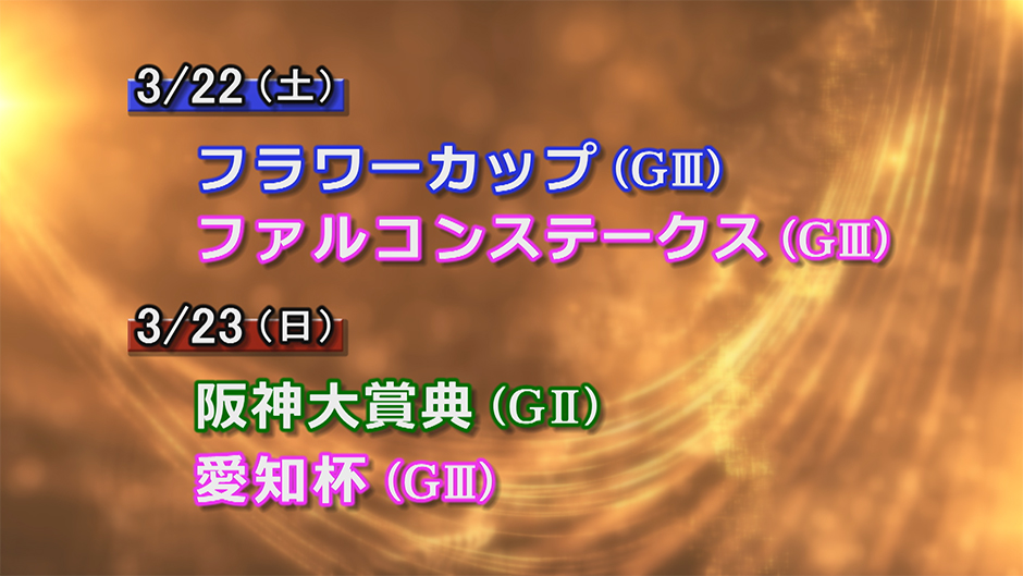おすすめ】 JRA重賞121レースオッズで見える傾向と対策 趣味/スポーツ おすすめ】 JRA重賞121レースオッズで見える傾向と対策 趣味/スポーツ