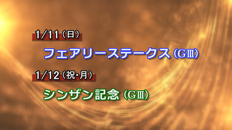 �d�܃v���r���[