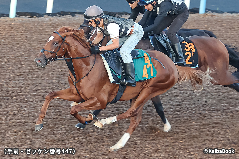 未来のGⅠ馬へ！2歳馬CLOSE UP 今週の注目レース JRA