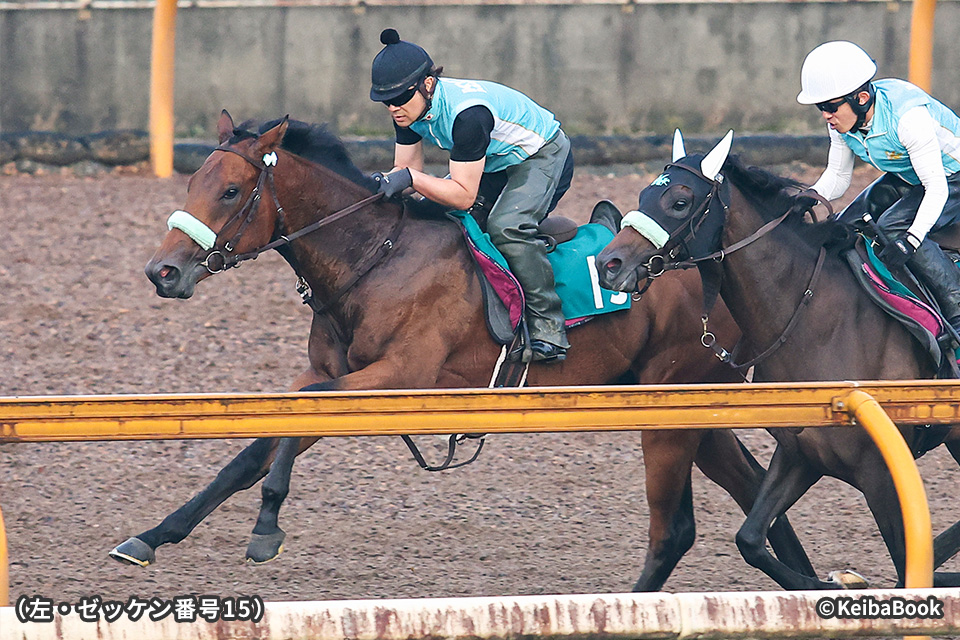 未来のGⅠ馬へ！2歳馬CLOSE UP 今週の注目レース JRA