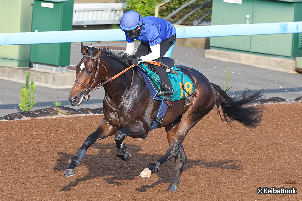 未来のGⅠ馬へ！2歳馬CLOSE UP 今週の注目レース JRA