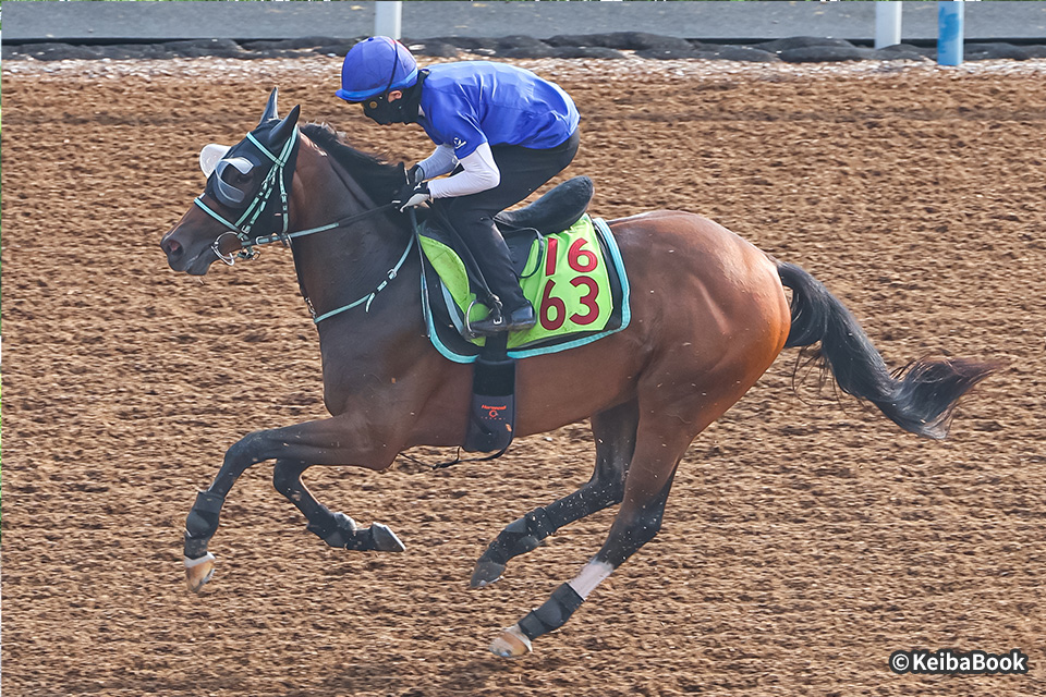未来のGⅠ馬へ！2歳馬CLOSE UP 今週の注目レース JRA