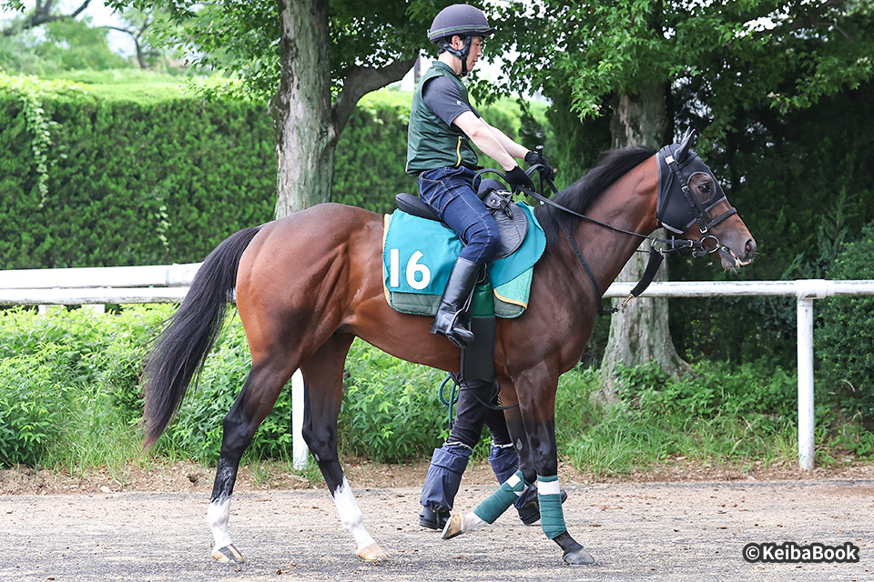 未来のGⅠ馬へ！2歳馬CLOSE UP 今週の注目レース JRA