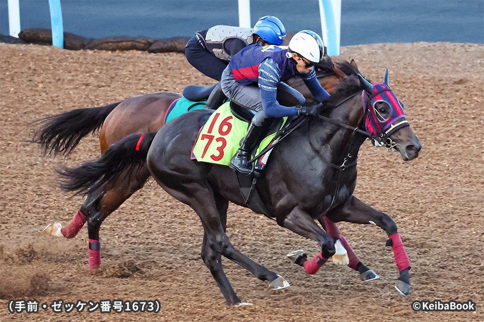 �}���X���W�[�i�̉摜