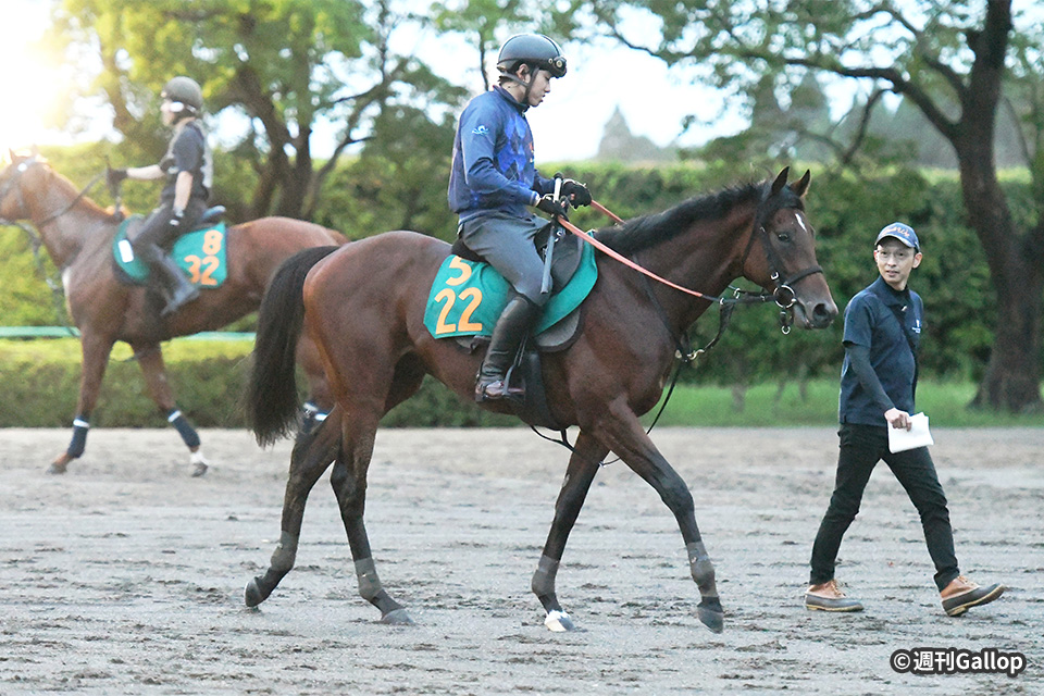 絆✨シックスペンス✨絆【メイクデビューからクラシック軌跡】 未来のGⅠ馬へ！2歳馬CLOSE UP 今週の注目レース JRA