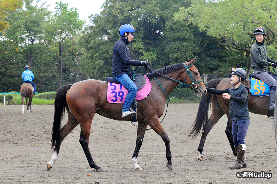 未来のGⅠ馬へ！2歳馬CLOSE UP 今週の注目レース JRA