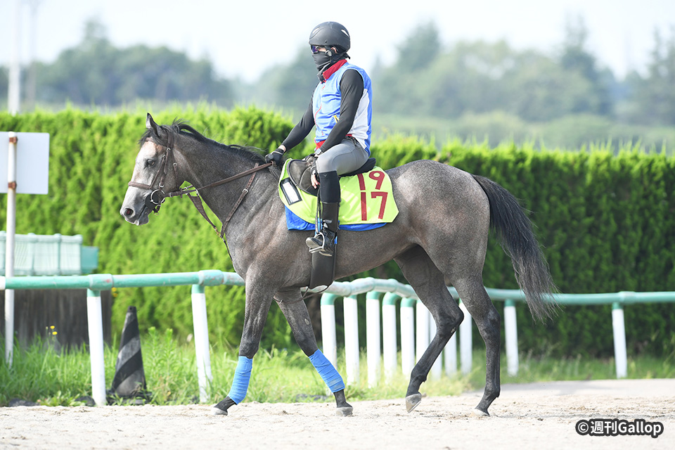 未来のGⅠ馬へ！2歳馬CLOSE UP 今週の注目レース JRA