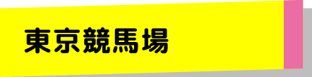 東京競⾺場