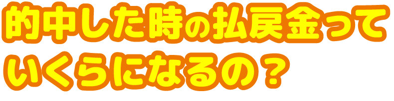 的中した時の払戻金っていくらになるの？