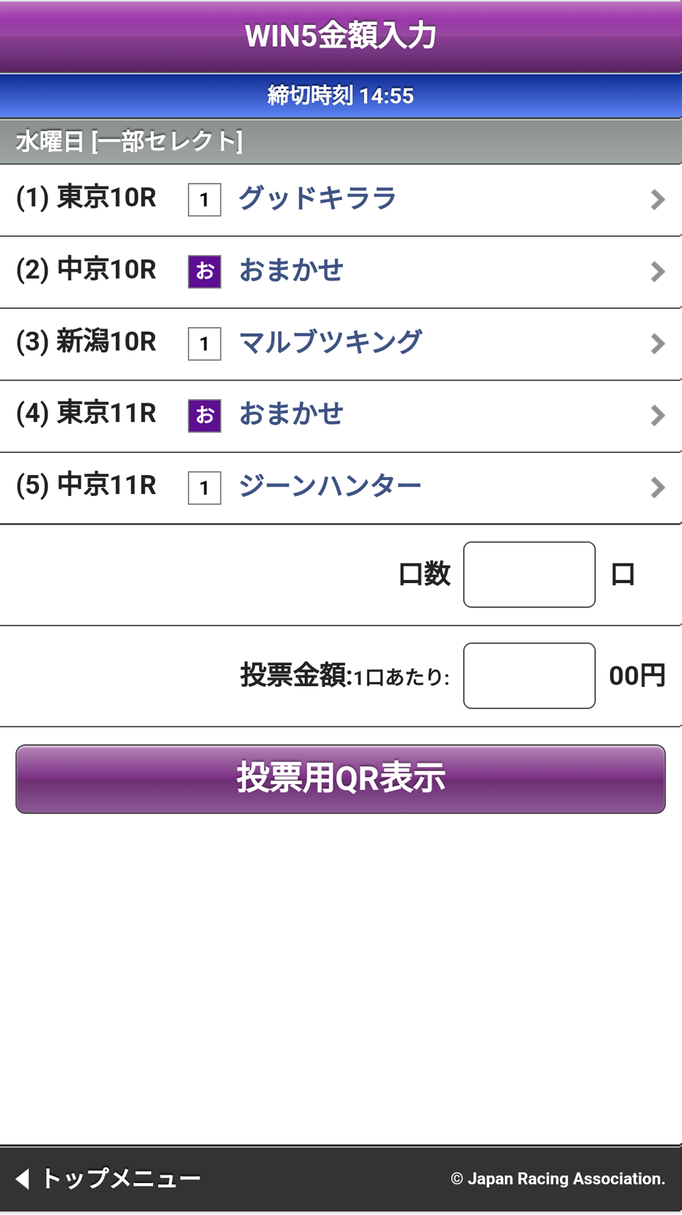 ウインファイブ一部セレクト金額入力