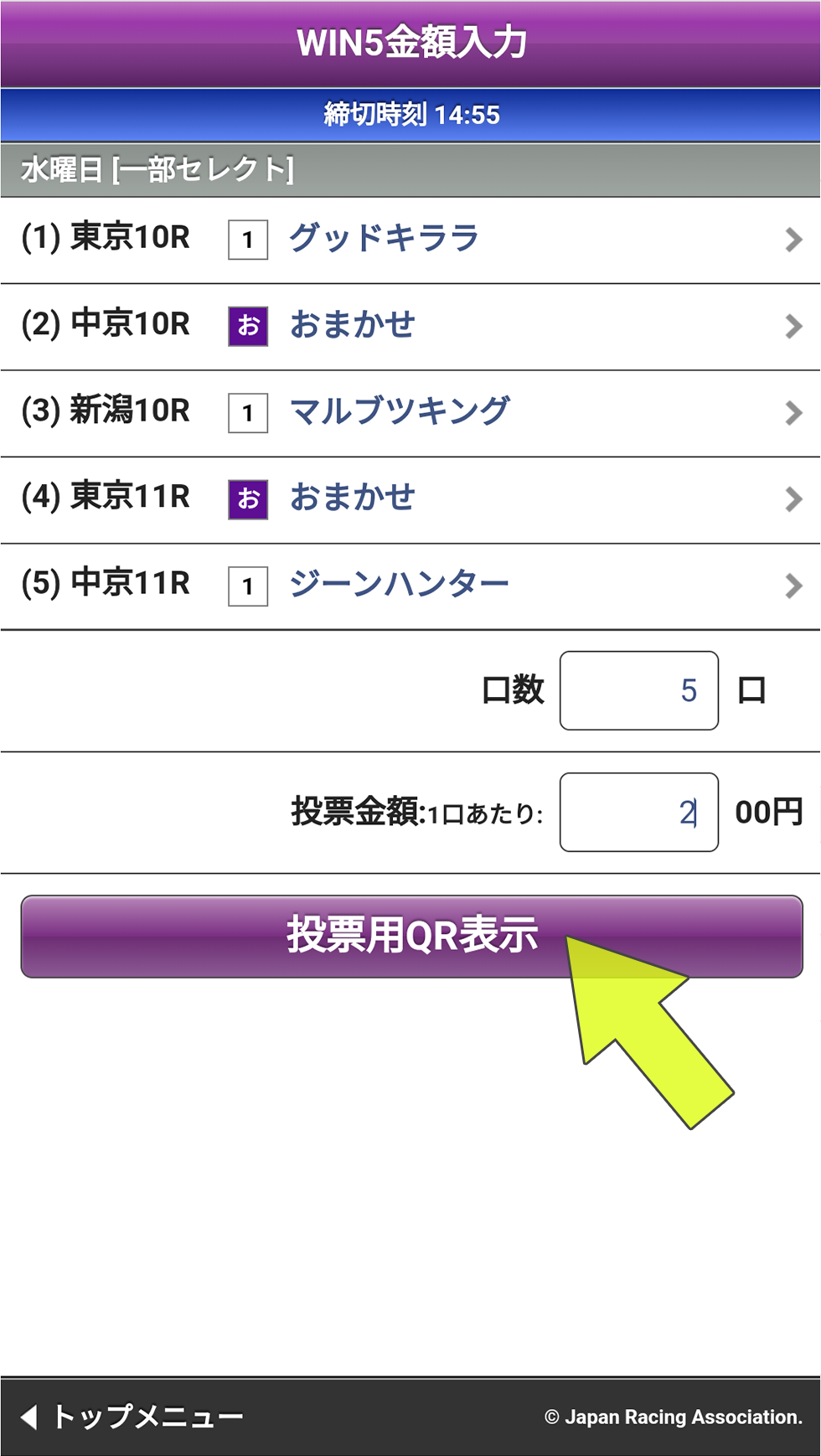 ウインファイブ一部セレクト金額入力済