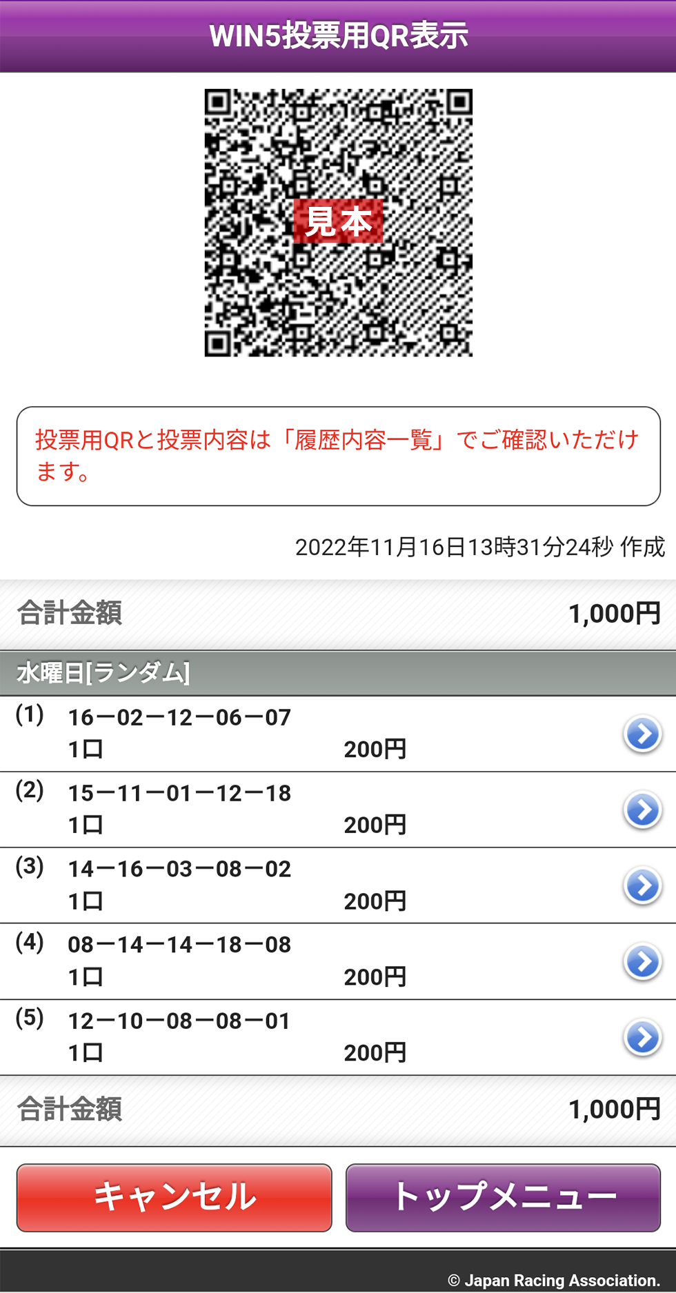 ウインファイブランダム投票用QR表示