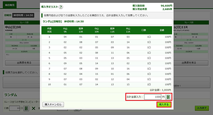購入内容の確認画面