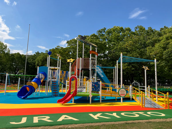 緑の広場の新遊具