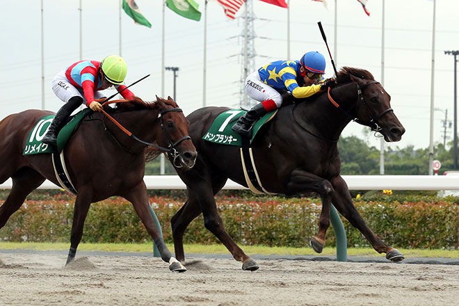 ドンフランキー