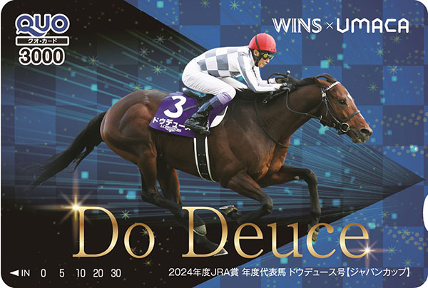 QOU�J�[�h�i3,000�~���j