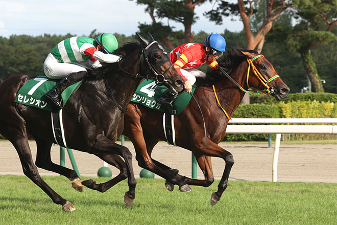 �V�������N�J